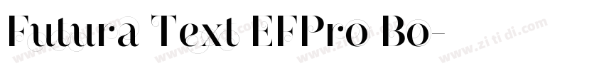 Futura Text EFPro Bo字体转换